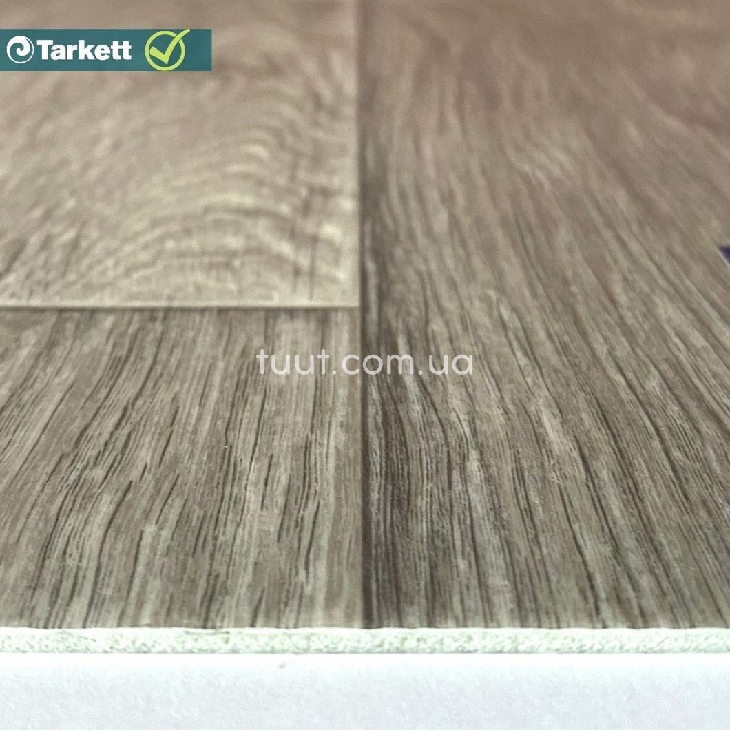 Лінолеум Tarkett Evolution Live RAYMOND 7