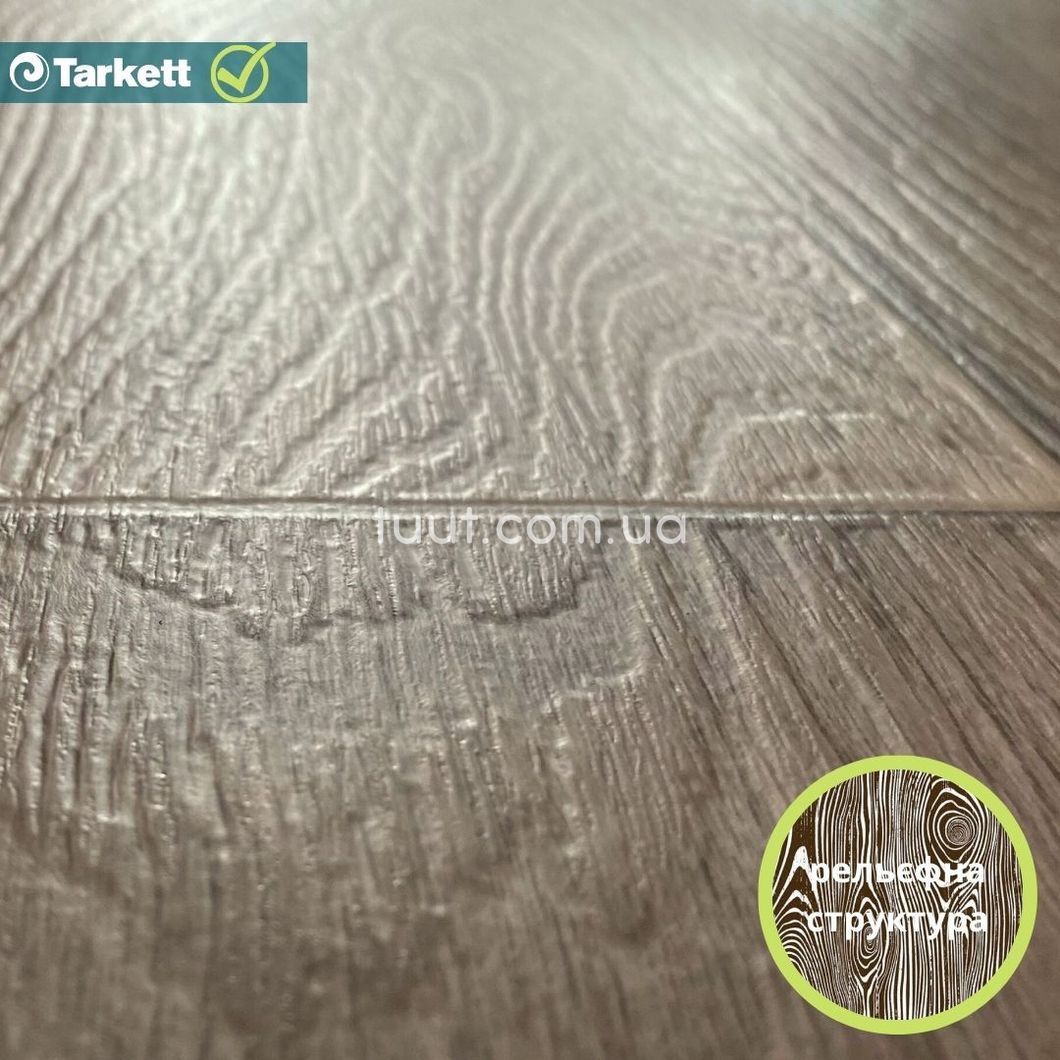 Лінолеум Tarkett Evolution Live RAYMOND 7