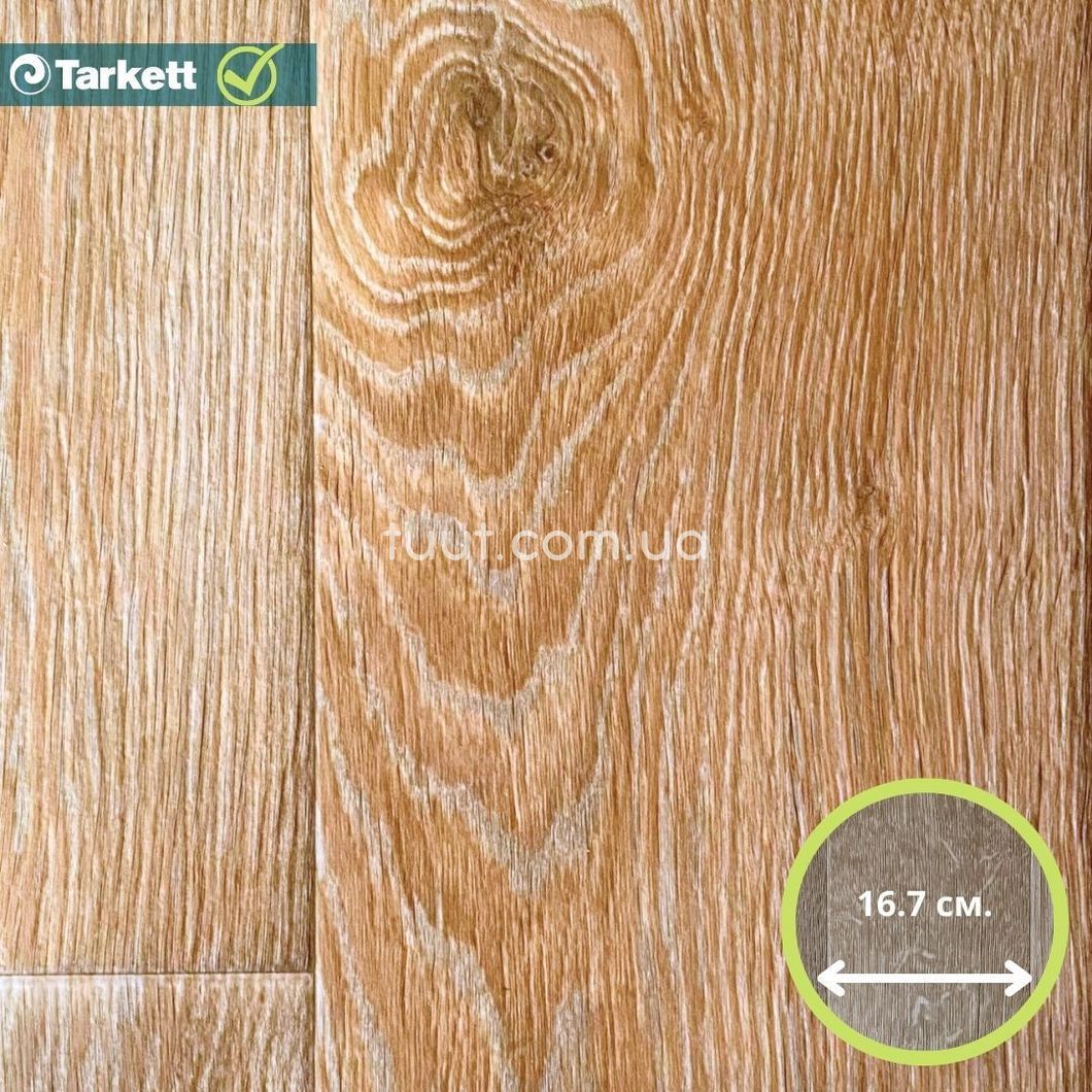 Лінолеум Tarkett Evolution Live RAYMOND 2