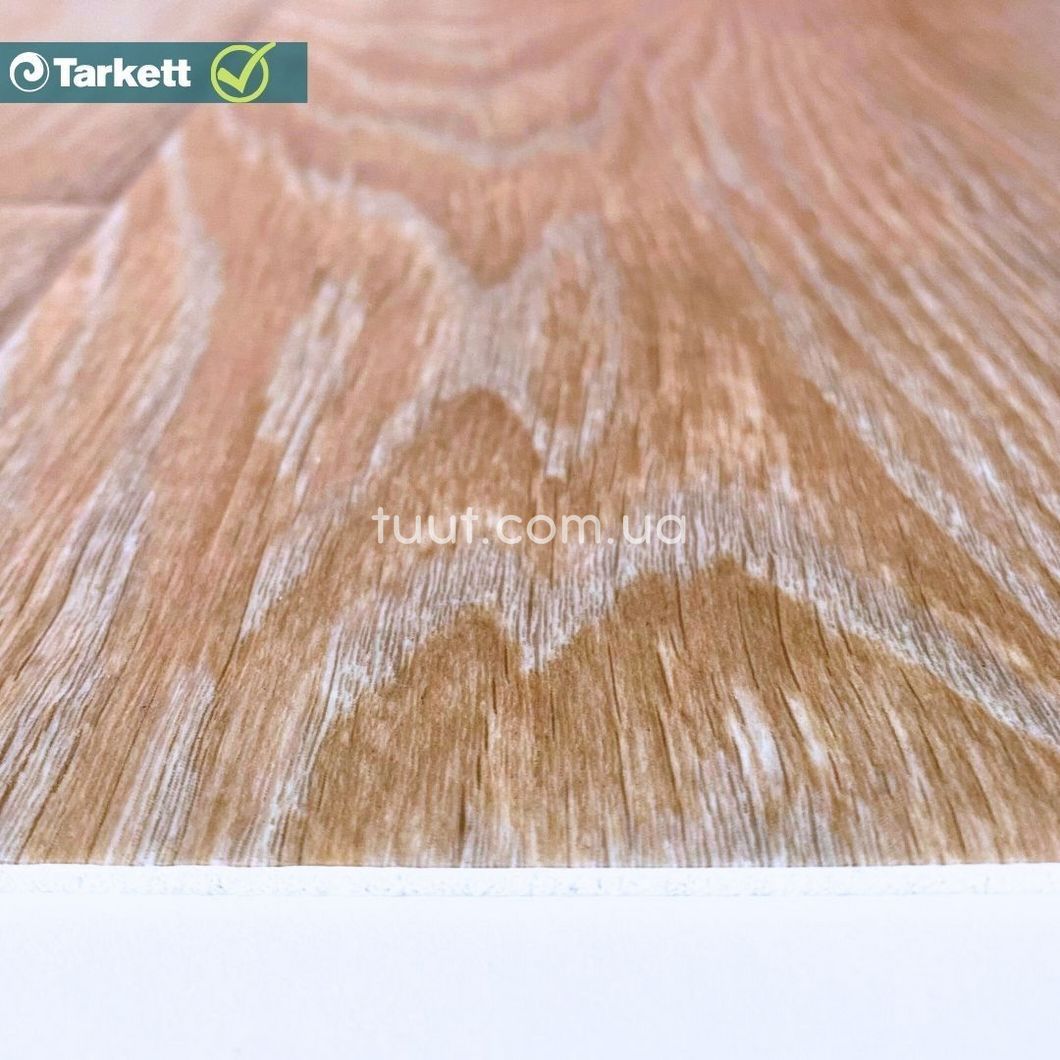 Лінолеум Tarkett Evolution Live RAYMOND 2