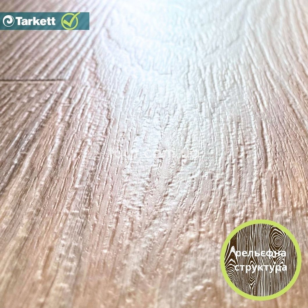 Лінолеум Tarkett Evolution Live RAYMOND 2