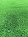 Искусственная трава CCGrass CE-20 (мультиспорт)