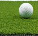 Штучна трава для гольфу CCGrass Green E-12