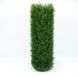 Искусственная трава для футбола CCGrass Nature D3-40