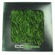 Штучна трава для футболу CCGrass Nature D3-40