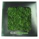 Искусственная трава для футбола CCGrass Nature D3-40