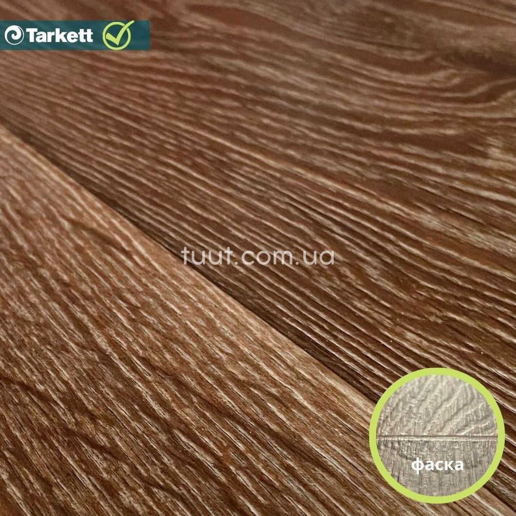 Лінолеум Tarkett Evolution Live RAYMOND 4
