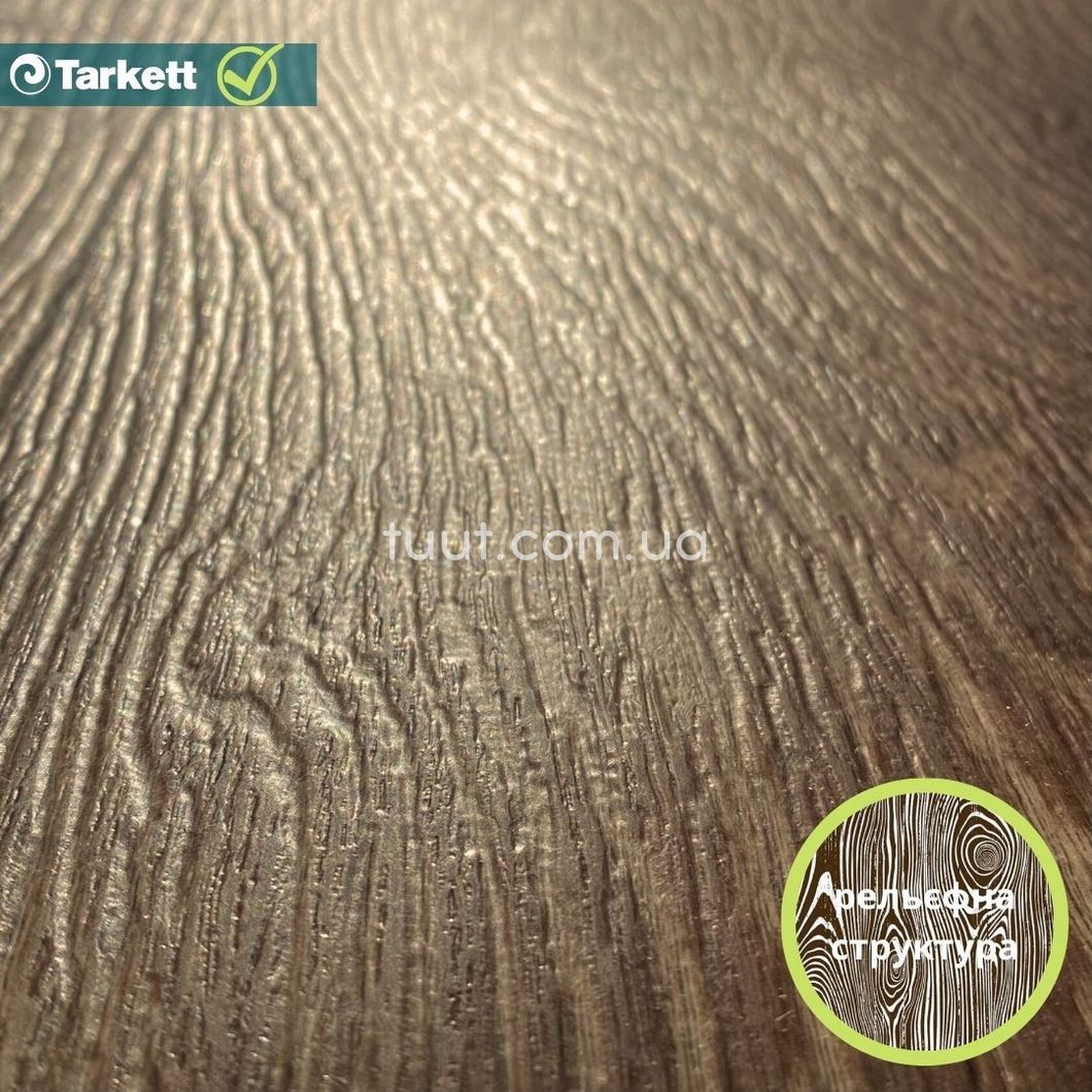 Лінолеум Tarkett Evolution Live RAYMOND 4