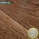 Лінолеум Tarkett Evolution Live RAYMOND 4