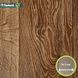 Лінолеум Tarkett Evolution Live RAYMOND 4