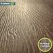 Лінолеум Tarkett Evolution Live RAYMOND 4